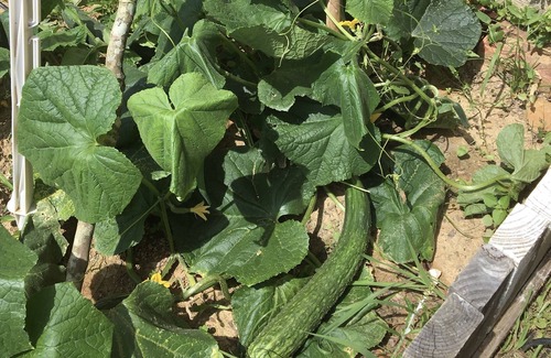 Lithonia Haus | Atlanta Vacation House with Lake