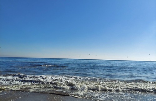 Santa Barbara Haus | Attached Unit, a few minute walk from the Beach