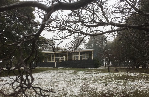 Tolmie Haus | Austracantha Cottage