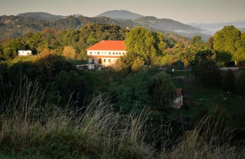 Videm Wohnung | Auszeit in den Weinbergen der Untersteiermark
