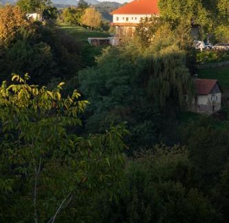 Videm Wohnung | Auszeit in den Weinbergen der Untersteiermark