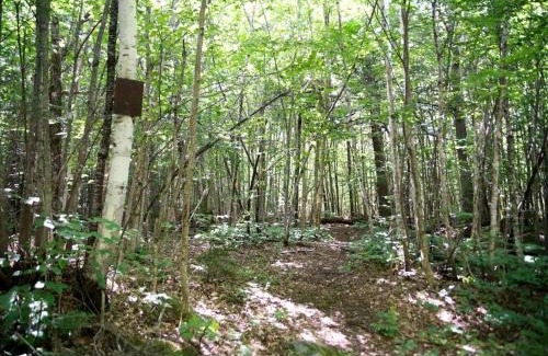 Chatham Sonstige | Authentic Tipi Set in the Stunning Woodland of the White Mountain National Forest, New Hampshire