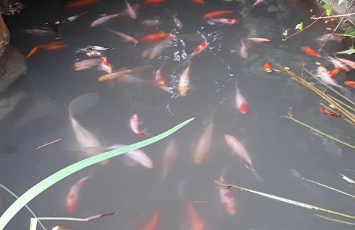 Iznajar Haus | Averroes