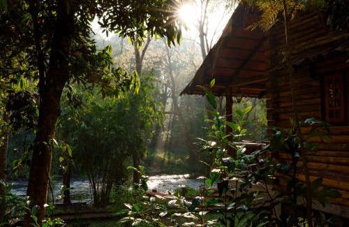 Udumbanchola Haus | Aya natural