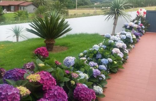 Horta Haus | Azores, Faial , Horta, Vacation Beach Front Home, First & Second Floor for rent separately