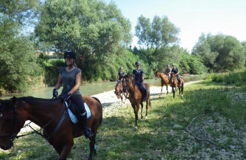 Potenza Picena Bed & Breakfast | B&B Centro Ippico Andrea