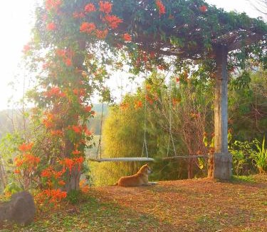 Sado Phong Haus | Baan Ing Phu บ้านอิงภู