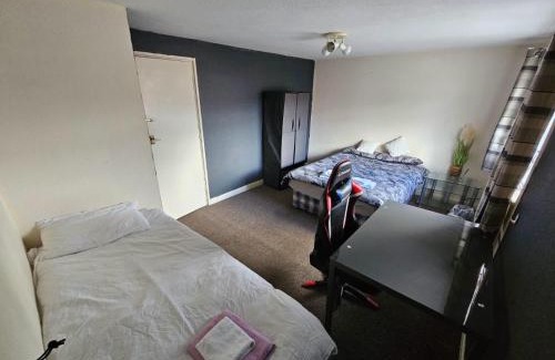 Bolton Haus | Babo room