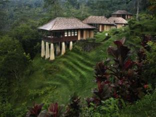Sebatu Resort | Bagus Jati Health & Wellbeing Retreat