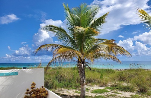 Bahamas Terrace Eigentumswohnung | Bahamian Beachfront Paradise, directly on the beach!