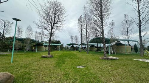 Sanxing Haus | Bald Cypress B&B