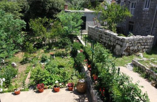 Korita Wohnung | Baldo's Happy Garden- BRAND NEW