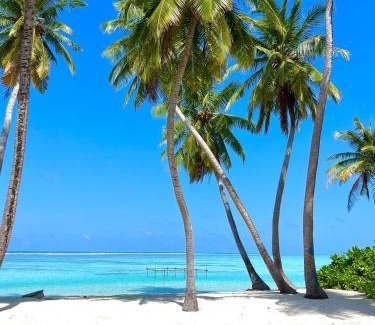 Nilandhoo Bed & Breakfast | Balma Beach Inn