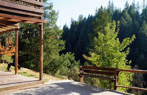 Cedar Ridge Haus | Barn Haus by the Creek. Dog Friendly!