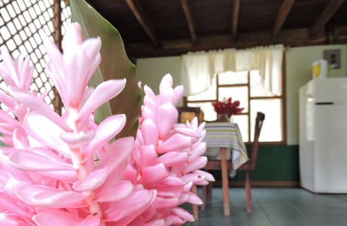 Esterillos Haus | Bungalow direkt am Strand, direkt neben dem Punta Mala Wildlife Refuge