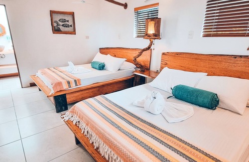 Drake Bay Kabine | Beachfront Kinkajou Cabin next to the Corcovado National Park-All meals included