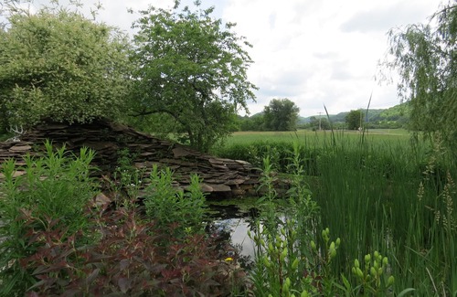Sextonville Kabine | Bear Valley Outdoor Inn ist eine "Oase für Wildtiere."