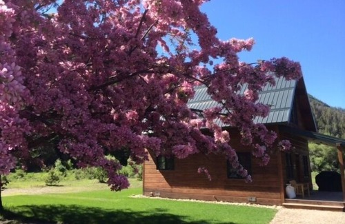 Philipsburg Kabine | Schöne Hütte auf den Banken des Rock Creek - Willow Cabin