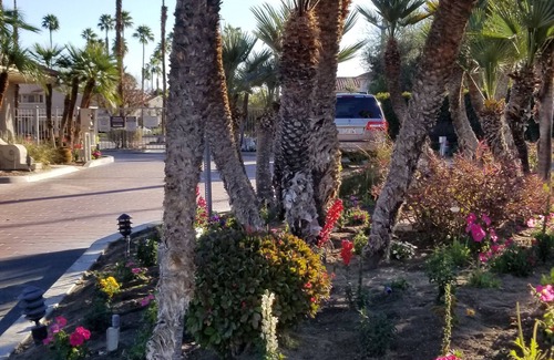 Palm Springs Eigentumswohnung | Schöne Wohnung im Mesquite Country Club -Pool, Whirlpool, Tennis: (City ID: 4337)