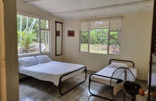 Armero Sonstige | Beautiful Farm in a lush nature