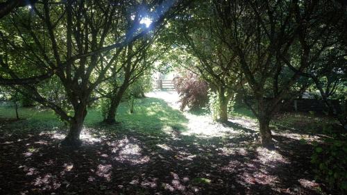 Kimbolton Haus | Beautiful Rural Retreat, Family friendly - Escape!