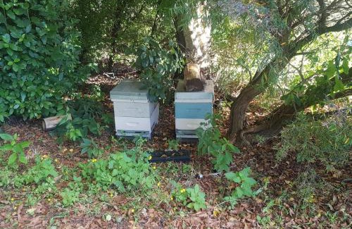 Kimbolton Haus | Beautiful Rural Retreat, Family friendly - Escape!