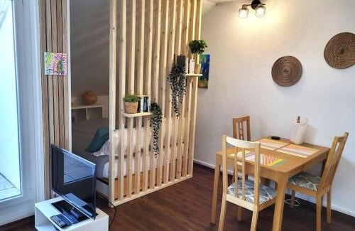 Ferney-Voltaire Wohnung | Beautiful Studio at Geneva airport Ferney Voltaire