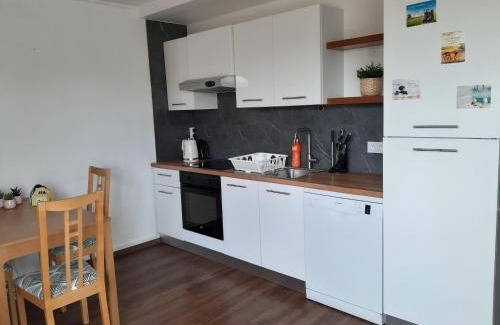 Ferney-Voltaire Wohnung | Beautiful Studio at Geneva airport Ferney Voltaire