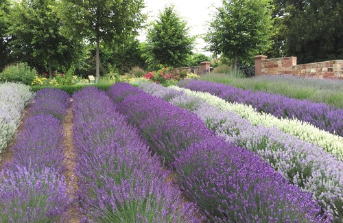 Edenkoben Wohnung | Beautiful vacation apartment on the edge of the Palatinate Mountains