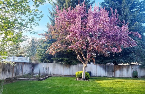 Idaho Falls Haus | Beautifully Updated Home on Oak Trail Drive in IF