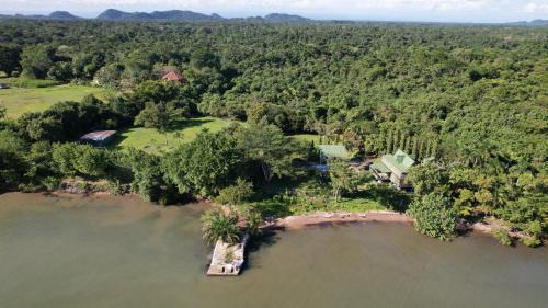 Forest Home Haus | Belize Bay Estate