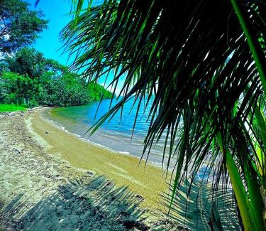 Forest Home Haus | Belize Bay Estate