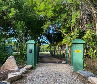 Forest Home Haus | Belize Bay Estate