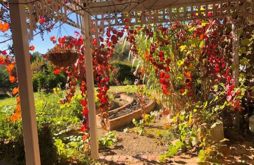Bonnie Doon Haus | Belkampar Retreat - Authentic Farm Style Home - Perfect For Families and Large Groups!