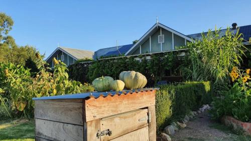 Bonnie Doon Haus | Belkampar Retreat - Authentic Farm Style Home - Perfect For Families and Large Groups!