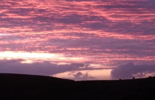 Wirrina Cove Wohnung | Belle Vista