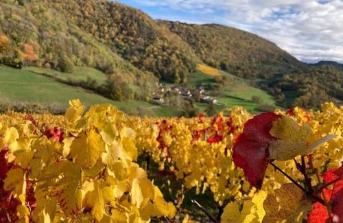 Boyeux-Saint-Jerome Haus | Belvédère du Haut Bugey - Refuge dans les cépages