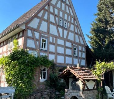 Hoechst im Odenwald Wohnung | Bergfohlenhof