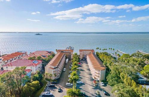 Dunedin Wohnung | Beso del Sol Resort in Dunedin - Perfect Location & Relaxation!