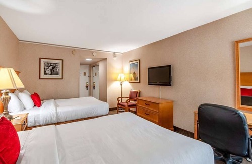 Radnor - Fort Myer Heights Resort | Best Pick! 2 Pet-friendly Units, with Free Parking On-site!