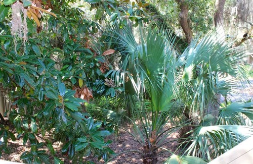 Seabrook Island Haus | Best Value in Seabrook - Heron Run