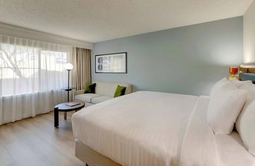 Mayo Clinic Hotel | Best Value, Quality Stay! w/ Pool, Near Rio Montana Park, Pet-Friendly