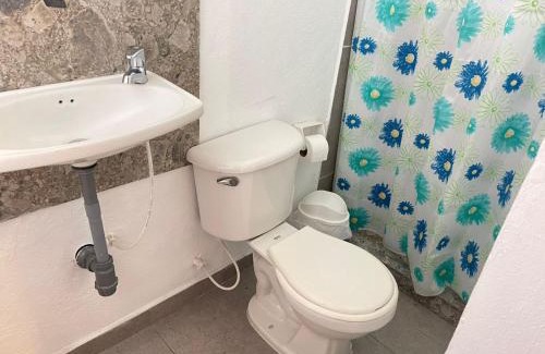 Circasia Haus | Betania Alojamiento Rural Quindío Eje Cafetero espectacular!