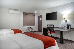 Downtown Queretaro Hotel | BeWow Hotel Querétaro