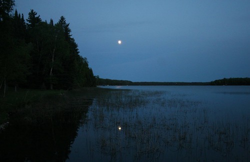 Nevis Kabine | Big Mantrap Lake - Familienhütte auf dem Wasser!