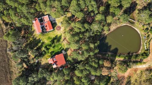 San Miguel Regla Haus | BIMBA en el corazón del bosque, Huasca