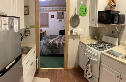 Cadillac Kabine | Birchwood Resort & Campground