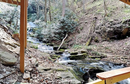 Cosby Haus | Black Bear Lodge