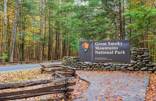 Cosby Haus | Black Bear Lodge