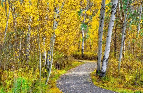 Black Butte Ranch Haus | Black Butte Ranch: Aspen Grove Retreat